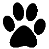 Paw image