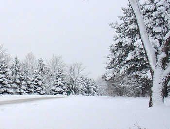 winter weather